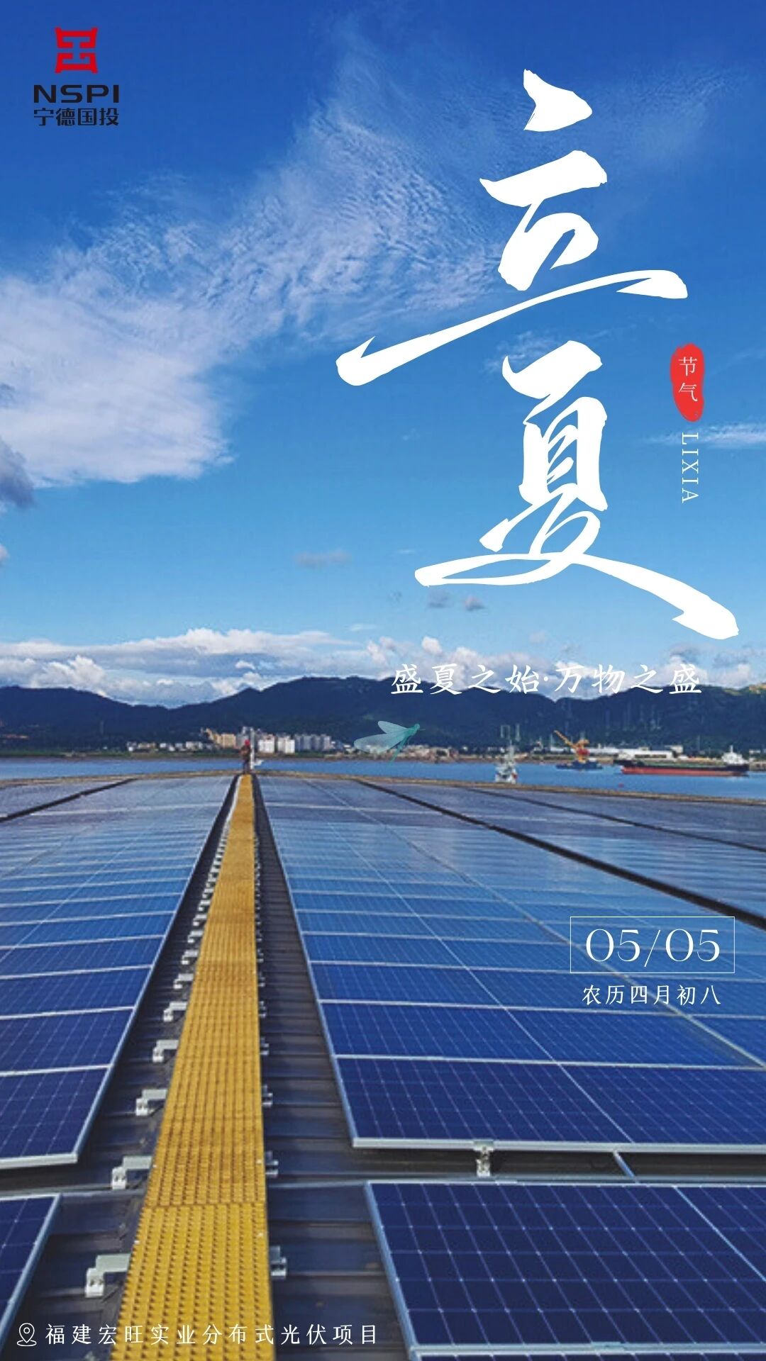 【节气·立夏】一叶知夏 万木苍翠